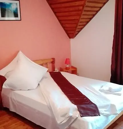 Pensiunea Alpin Pensión Bran (Brasov)