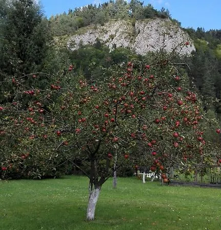 Pensiunea Alpin
